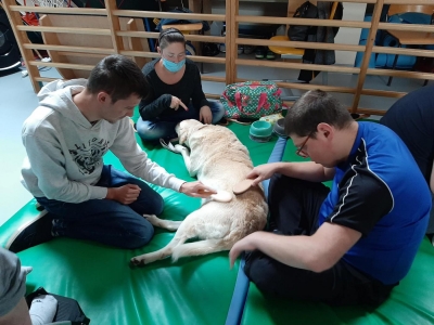 DOGOTERAPIA I HIPOTERAPIA- zdjęcia - zdjęcie2