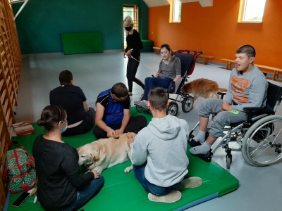 DOGOTERAPIA I HIPOTERAPIA- zdjęcia - zdjęcie1