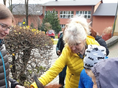 ALPAKI W NASZEJ SZKOLE - zdjęcia - zdjęcie12