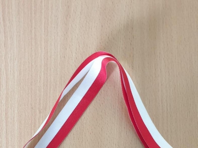 PARAOLIMPIADA LEKKOATLETYCZNA - zdjęcia - zdjęcie12