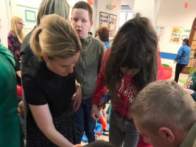 Świat zwierząt Beskidzkich Parków Krajobrazowych - zdjęcie16