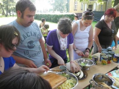 Owocowy piknik 2013 - zdjęcia - zdjęcie5