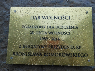 UROCZYSTE OTWARCIE CZĘŚCI REKREACYJNO - WYPOCZYNKOWEJ W OGRODZIE SZKOLNYM - zdjęcia - zdjęcie15