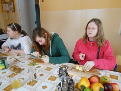WYMIANA EDUKACYJNA - POBYT MLODZIEŻY SZWAJCARSKIEJ W ŁODYGOWICACH - zdjęcia - zdjęcie9