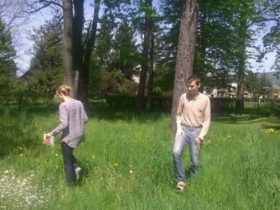 ZIELNIK - WIOSNA NA ŁĄCE - zdjęcia - zdjęcie2