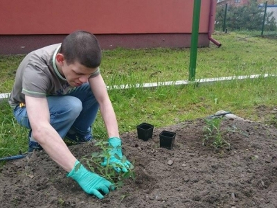 PRACE W OGRODZIE SZKOLNYM - zdjęcia - zdjęcie6