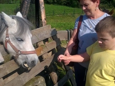 ZAJĘCIA EDUKACYJNE W PLENERZE - zdjęcia - zdjęcie25