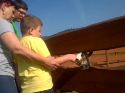 ZAJĘCIA EDUKACYJNE W PLENERZE - zdjęcia - zdjęcie12