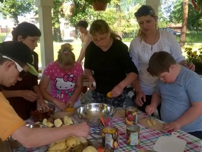 PIKNIK OWOCOWY - zdjęcia - zdjęcie4