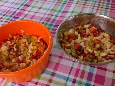 PIKNIK OWOCOWY - zdjęcia - zdjęcie23