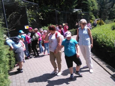 WYCIECZKA DO ZOO - zdjęcia - zdjęcie24