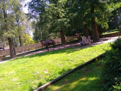 WYCIECZKA DO ZOO - zdjęcia - zdjęcie21