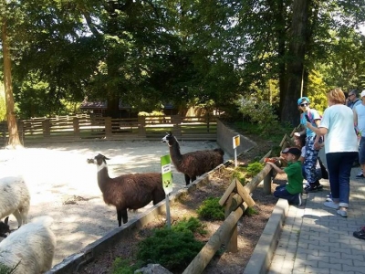 WYCIECZKA DO ZOO - zdjęcia - zdjęcie7