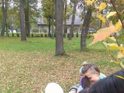 HIPOTERAPIA - zdjęcia - zdjęcie2