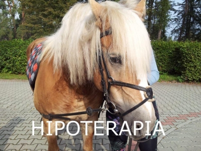 HIPOTERAPIA - zdjęcia - zdjęcie1