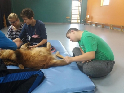DOGOTERAPIA - zdjęcia - zdjęcie5