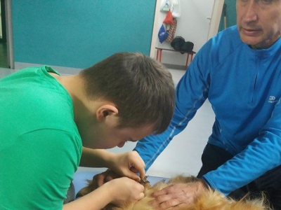 DOGOTERAPIA - zdjęcia - zdjęcie18