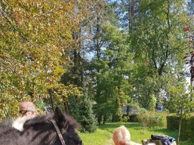 Z cyklu 
