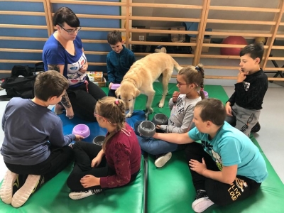 HIPOTERAPIA I DOGOTERAPIA - zdjęcie1