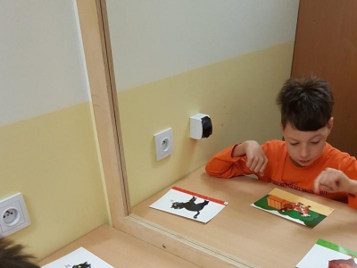 Projekt 