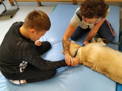 DOGOTERAPIA I HIPOTERAPIA W NASZEJ SZKOLE - zdjęcia - zdjęcie2