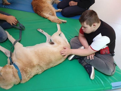 DOGOTERAPIA I HIPOTERAPIA W NASZEJ SZKOLE - zdjęcia - zdjęcie4