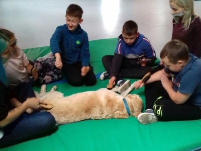 DOGOTERAPIA I HIPOTERAPIA W NASZEJ SZKOLE - zdjęcia - zdjęcie5